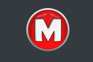 MDM Fix Tool Rent [6 Hours]