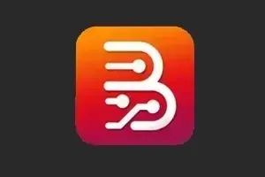 Borneo Schematics 12 Months 1 User (New User/Renew) Indonesia ☘️