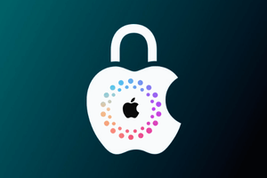 GSX Service (iPhone/iPad Sold By, Replacement, Case History Checker) imei/SN Only Text 