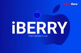 iBerry Hello Activator - iPad 8th